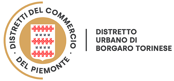 DUC Comune Borgaro Torinese